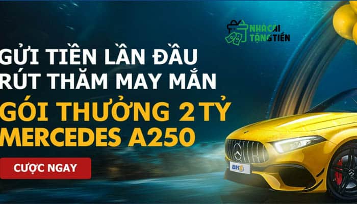 trang web cá cược nào rút tiền nhanh nhất