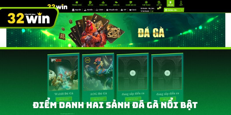 Điểm danh hai sảnh đá gà nổi bật
