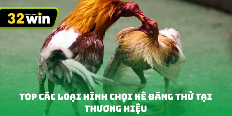 Top các loại hình chọi kê đáng thử tại thương hiệu