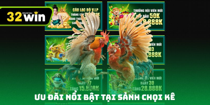 Ưu đãi nổi bật tại sảnh chọi kê