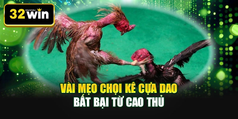Vài mẹo chọi kê cựa dao bất bại từ cao thủ