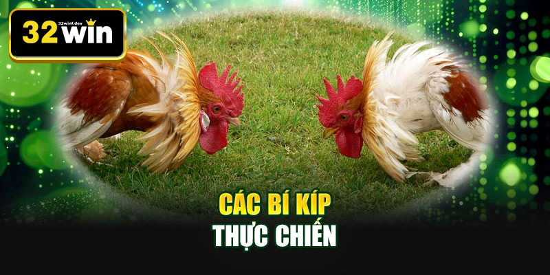 Các bí kíp thực chiến