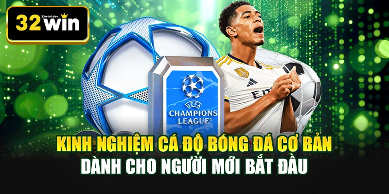 Kinh nghiệm cá độ bóng đá