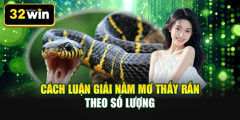 Cách luận giải nằm mơ thấy rắn theo số lượng